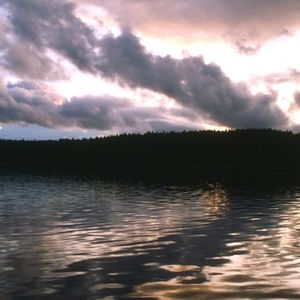 Meet your Posher, Tim